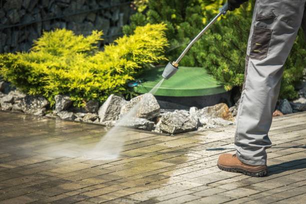 Best Animal Enclosure Cleaning  in Edgecliff Village, TX